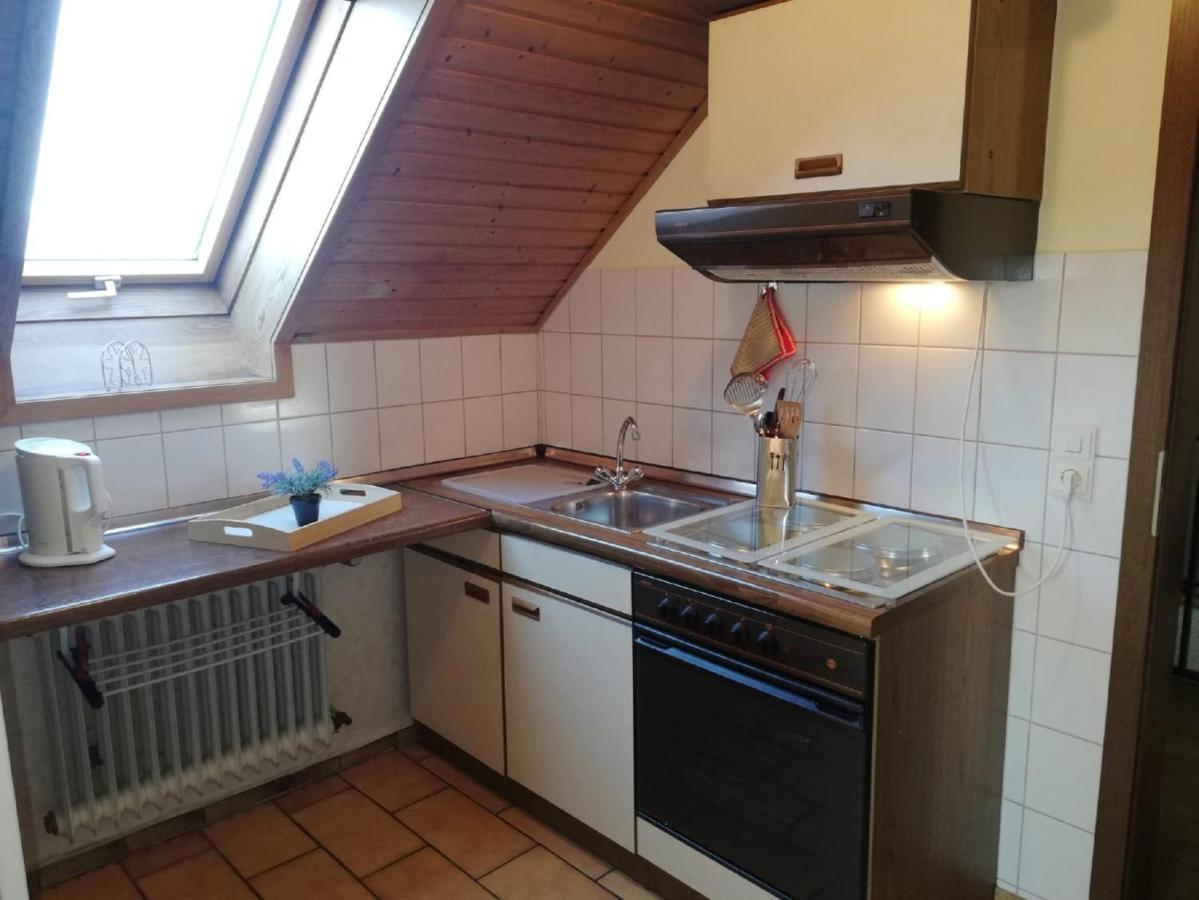 Ferienwohnung Haus Silvia フラドゥンゲン エクステリア 写真